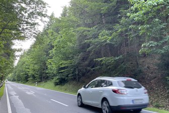 Bundesstraße 283 im Erzgebirge: Erster Abschnitt wegen Baumfällungen halbseitig gesperrt - An der Bundesstraße 283 stehen ab Mittwoch Baumfällarbeiten an.