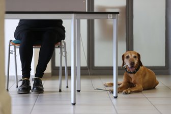 Bundestagswahl 2021: Alle Ergebnisse aus dem Wahlkreis Leipzig Land (154) - 3,3 Millionen Menschen in Sachsen konnten mit über die Besetzung des neuen Bundestags bestimmen.