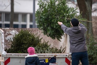 Burgstädt: Kein Abholservice mehr für Weihnachtsbäume - Ausgediente Weihnachtsbäume können in Wertstoffhöfen kostenfrei abgegeben werden.