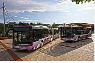 Busfahrer-Streik: Im Kreis Zwickau 80 Prozent der Linienfahrten betroffen - Busse des Regionalverkehr Westsachsen (RVW) in Wilkau-Haßlau. Auch der RVW wir am Freitag bestreikt.