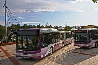 Busflotte soll sauberer werden - nur wie? - Genaue Vorgaben für die Flottenumrüstung fehlen.