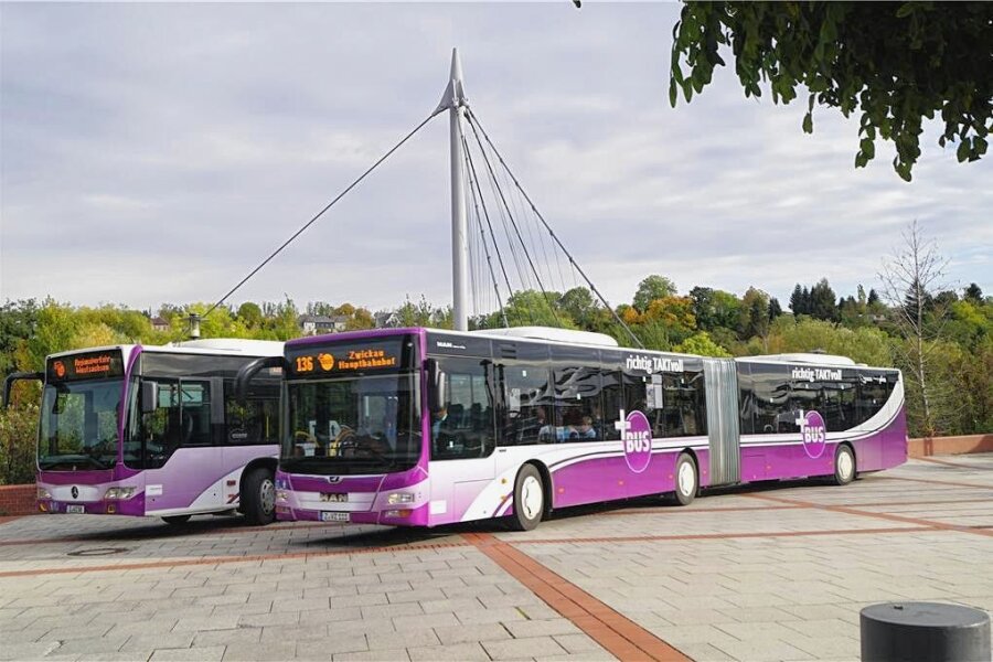 Busverkehr im Landkreis Zwickau: Bisher hat kein Unternehmen Interesse an der Ausschreibung - Mit der Ausschreibung sollen auch zwei Plus-Bus-Linien im Landkreis Zwickau neu vergeben werden. 