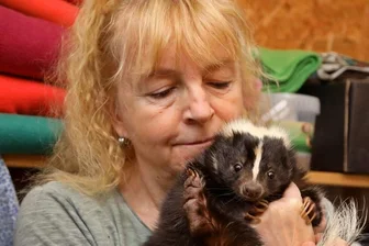 Callenbergerin kuschelt gern mit Stinktieren - Ines May hat viele verschiedene Haustiere. Unter anderem leben bei der Callenbergerin auch drei Stinktiere.