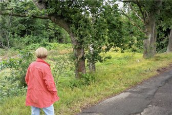 Campingplatz bei Geringswalde: Pläne vom Tisch - Die Brachfläche in der Fröhne kann ungestört weiterwuchern. Pläne für einen Campingplatz sind vom Tisch.