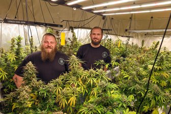Cannabis-Vereine in Zwickau: „Wenn Vermieter Cannabis hören, winken viele ganz schnell ab“ - Kevin Pohlers (links) und Albrecht Kasten vom Oberlungwitzer Grow Club in Mülsen wollen bald die vierte Cannabis-Ernte angehen.