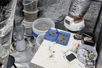 Cannabisplantage ausgehoben - Außerdem wurden Utensilien wie Feinwaagen und Verpackungsmaterial sichergestellt. 