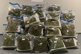 Cannabisplantagen in Crossen entdeckt - 