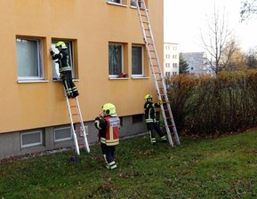 Cannabiszucht nach Wohnungsbrand entdeckt -