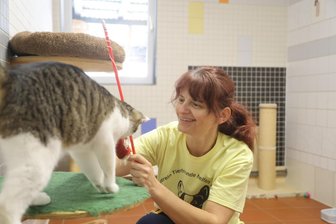 Chefin von Chemnitzer Tierheim zu geplanten Kürzungen: „Bald Zustände wie in Osteuropa“ - Adina Barthel leitet das Tierheim in Röhrsdorf. Sie fürchtet, dass Kürzungen im Haushalt des Freistaats zu weniger Kastrationen bei Katzen führen werden.