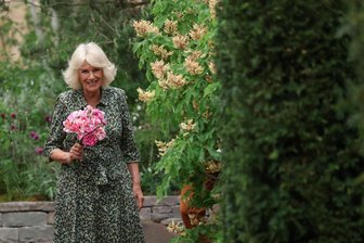 Chelsea Flower Show: Im Namen der Rose - Königin Camilla hält die „King‘s Rose“.