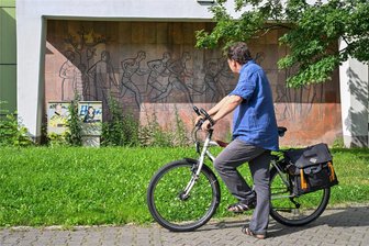 Chemnitz: 14 Köpfe für die Kunst im Stadtraum - Elektrokasten und Sträucher vor Wandbild: Mathias Lindner ärgert sich über solch unsensiblen Umgang mit Kunstwerken.