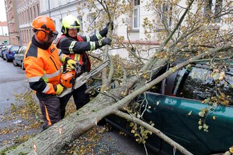 Chemnitz: Baum wird von Sturm entwurzelt und fällt auf einen Audi - Die Feuerwehr zerkleinerte den umgestürzten Baum, um ihn zu beräumen.