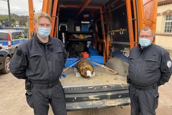 Chemnitz/Erzgebirge: Fliegerbombe im Wald bei Einsiedel entschärft - Zwei Mitarbeiter des Kampfmittelräumungsdienstes