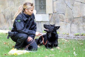 Chemnitz: Fährtensuchhund Frodo findet zwei vermisste Senioren - Schäferhund Frodo hatte die Spur der Vermissten aufnehmen können.