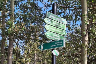 Chemnitz: Feierabendwanderung auf dem Höhenweg - Durchatmen nach Bürotag: Ein paar Kilometer auf dem Höhenweg können da helfen.