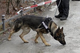 Chemnitz: Finanzamt nach Bombendrohung geräumt - In den Gebäuden des Chemnitzer Finanzamtes sind Sprengstoffsuchhunde im Einsatz.