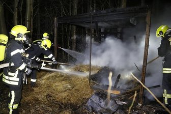 Chemnitz:  Futterraufe in Flammen - 