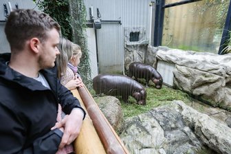 Chemnitz hebt Eintrittspreise für Tierpark und Kunstsammlungen deutlich an - Ein Besuch des Chemnitzer Tierparks kostet bald deutlich mehr. Erstmals seit 15 Jahren steigt der Eintrittspreis.