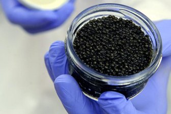 Chemnitz: Hohe Strafen in Prozess um Luxuswaren für Nordkorea -