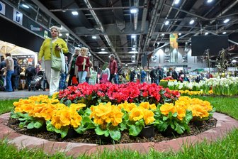 Chemnitz läutet in der Messe den Frühling ein -