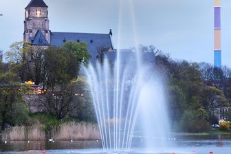 Chemnitz: Rätsel um toten Schwan auf dem Schloßteich - Chemnitzer Schlossteich