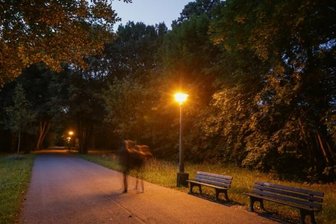Chemnitz: Stadt nimmt Wegebau im Stadtpark in Angriff - Hauptweg im Stadtpark nahe dem Zugang an der Scheffelstraße im August 2016