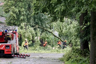Chemnitz: Sturm sorgt für stundenlangen Feuerwehreinsatz in Einsiedel - Die Einsiedler Hauptstraße glich nach dem Unwetter einem Urwald.