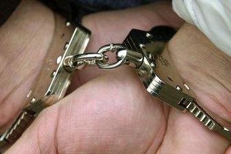Chemnitz: Tierliebe lässt Ladendieb auffliegen - 