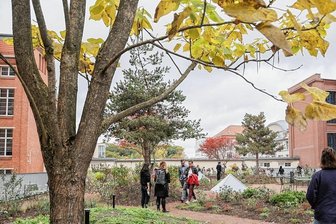 Chemnitz: Zwischen Brachenbelebung und Innenstadtproblemen - Das Wirkbau-Areal, in dem vor Kurzem ein Dachgarten geschaffen wurde, gehört zu den Beispielen erfolgreicher Umnutzung.