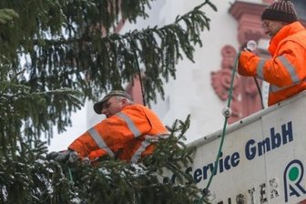 Chemnitzer Christbaum gefällt -