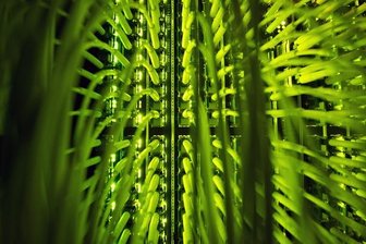 Chemnitzer Energieunternehmen macht der Telekom Konkurrenz - 