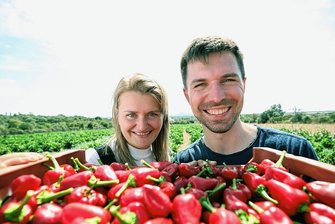 Chemnitzer Gewürzmanufaktur "Direkt vom Feld" Teil einer Arte-Doku - In der Arte-Doku besuchen Geschäftsführerin Theresa Mende und Richard Friedrich den Paprika-Bauern auf Mallorca.