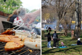 Chemnitzer Grillordnung: So darf die Roster auf den Grill - Grillen in Chemnitz. Was gibt es dabei zu beachten?