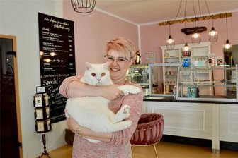 Chemnitzer Katzencafé kämpft ums Überleben - Franziska Müller mit Gästeliebling Bruno.