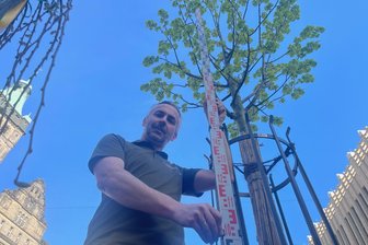 Chemnitzer Marktbaum startet gut gestärkt ins Kulturhauptstadt-Jahr - Alexander Neumeister von Wuttke-Vermessung bei der aktuellsten Messung der Silberlinde kurz vor Ostern 2025.