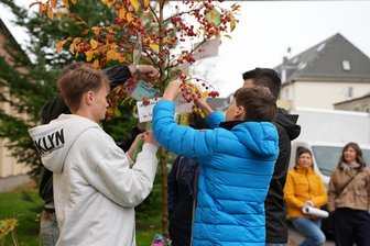 Chemnitzer Schüler lassen ihre Wünsche an Bäumen wachsen - Schüler des Evangelischen Schulzentrums befestigen ihre Zukunftswünsche an einem Baum vor dem Gebäude.
