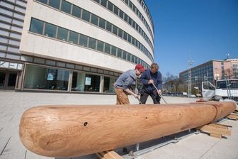 Chemnitzer Sitzbank und Bahngleis in Grimma als Steuerverschwendung kritisiert - Ein Einbaum aus Eiche-Kernholz für mehr als 60.000 Euro lädt zur Rast vor dem Archäologiemuseum in Chemnitz ein.