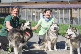 Chemnitzer Tierheim in MDR-Sendung „Tierisch tierisch“: Wer hat Platz für vier Huskies? - Tierheimchefin Anne Schilling (links) und Vereinschefin Ira Weißbach suchen neue Halter für vier Huskies.