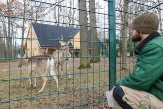 Chemnitzer Tierpark eröffnet neues Hirsch-Gehege -