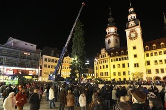 Chemnitzer Weihnachtsbaum: 28 Meter hohe Fichte am 15. November erwartet - Der Chemnitzer Weihnachtsbaum 2013 war 30 Meter hoch und stammte aus Morgenröthe-Rautenkranz.