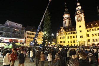 Chemnitzer Weihnachtsbaum aufgestellt - Zahlreiche Schaulustige verfolgten das Aufstellen des Weihnachtsbaumes auf dem Chemnitzer Markt.