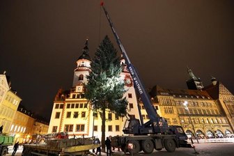 Chemnitzer Weihnachtsbaum steht - 