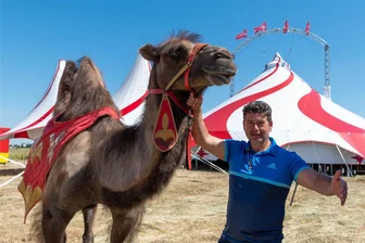 „Circus Magic“ gastiert in Glauchau - Der Circus Magic gastiert in Glauchau, im Bild Samuel Endres mit dem Kamel Ali.