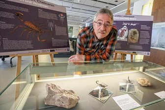 Coitus interruptus oder warum das Liebesspiel zweier Skorpione vor 291 Millionen Jahren in Chemnitz tragisch endete - Versteinerte Skorpione in Chemnitz gefunden. Im Bild Ronny Rößler vom Naturkundemuseum.