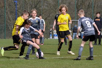 Cordial-Cup: Wer qualifiziert sich in Auerbach für die große Bühne? - Eines der vielen Derbys im vergangenen Jahr: Der VFC Plauen (in Gelb) bezwang den VfB Auerbach II mit 4:0. Die Plauener wurden zum Schluss Dritter.