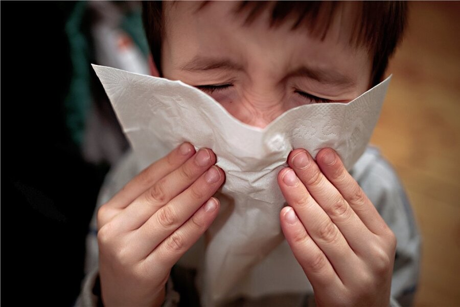Corona, Grippe, Erkältung: Das ist die derzeitige Infektionslage - Gesundheit! Egal, welche Viren ihn auslösen: Ein Schnupfen ist immer lästig. 