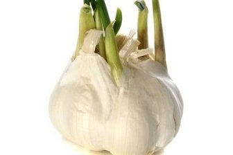Corona-Lage im Vogtland: Forschung über Wirksamkeit von Knoblauch - ann Knoblauch präventiv gegen eine Infektion mit Coronaviren schützen? Was zunächst unglaublich klingt, wird von Wissenschaftlern der Universität Marburg untersucht.