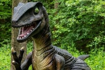 Corona-Lage im Vogtland: Weitere Lockerungen treten heute in Kraft - Ein Velociraptor taucht aus dem hohen Gras im Freizeitpark Plohn auf. Heute entfällt dort die Testpflicht.