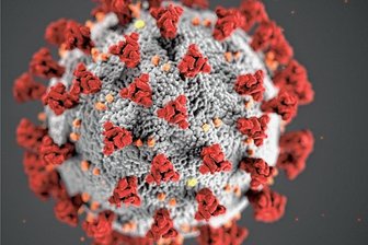 Corona zurück in vogtländischen Krankenhäusern: So ist die Lage - Das Coronavirus ist mit dem Herbst auch in vogtländische Kliniken zurückgekehrt. Das Personal geht routiniert mit der Situation um, es gibt aber auch Ausfälle beim medizinischen Personal. 