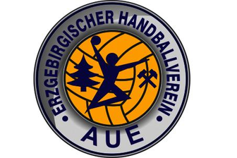 Coronainfektion: EHV-Aue-Trainer Swat im Krankenhaus -